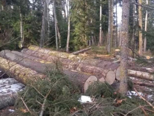 გარემოსდაცვითი ზედამხედველობის დეპარტამენტი