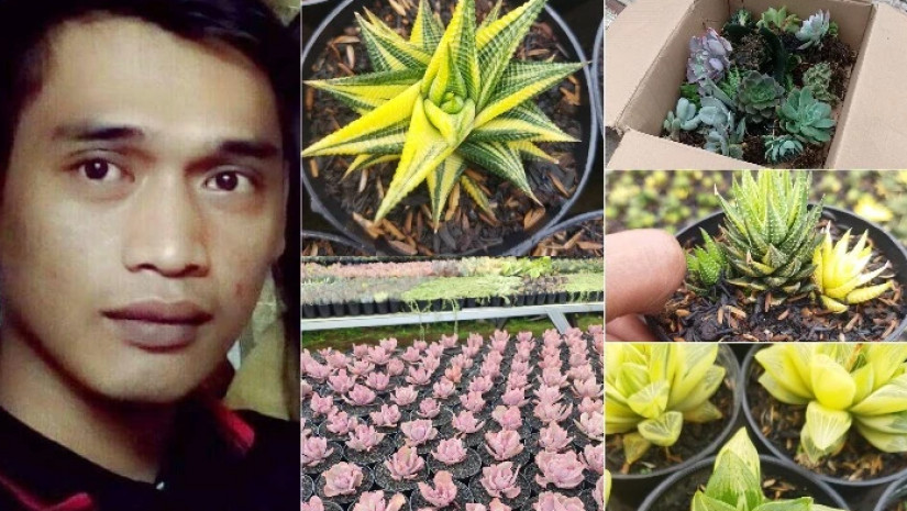 ფერმერი