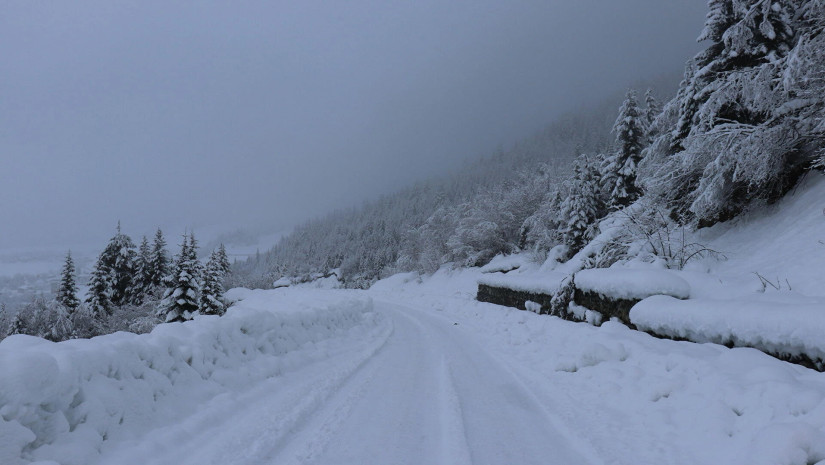 საჩხერე-ონი