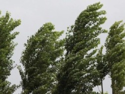 On October 6, strong winds are expected in some regions of Georgia