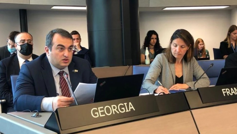 საგარეოს მოადგილე