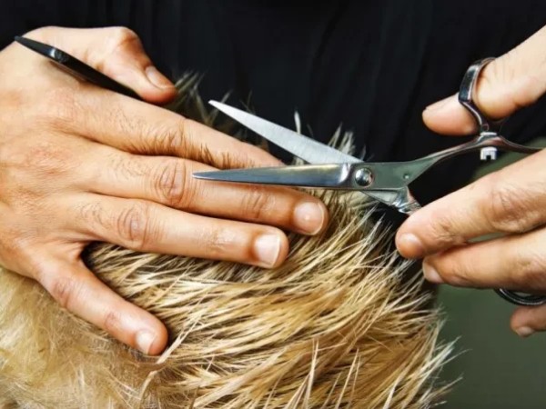 თმის შეჭრა