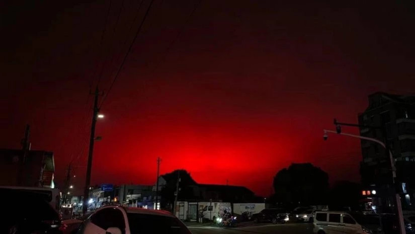 witeli ca