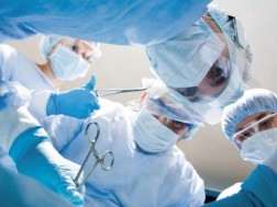 The implementation of the law on organ transplantation will be postponed until September 1, 2026