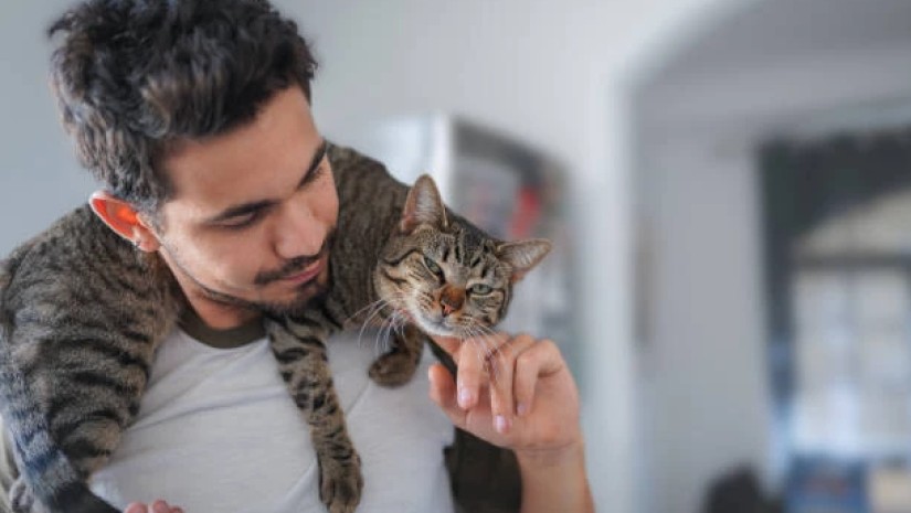  მამაკაცი და კატა