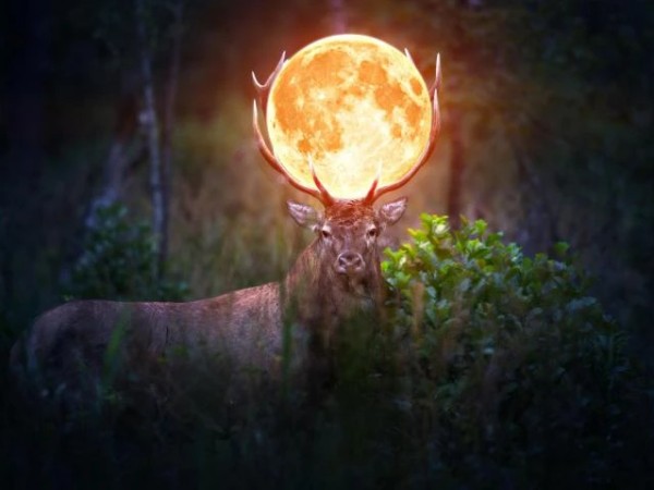 სავსემთვარეობა