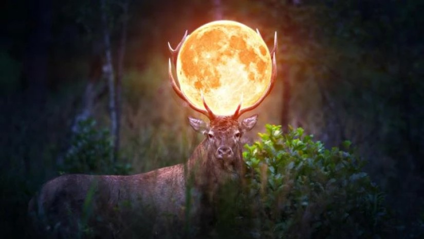 სავსემთვარეობა