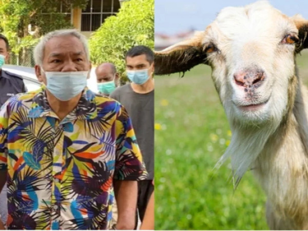 თხა