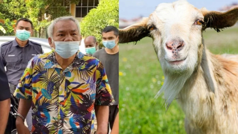 თხა