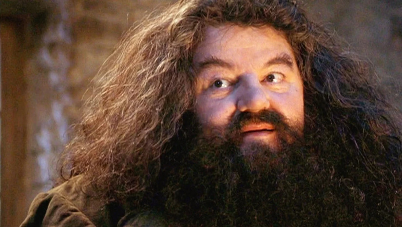 The actor who played Hagrid in the Harry Potter films has died at the age of 72