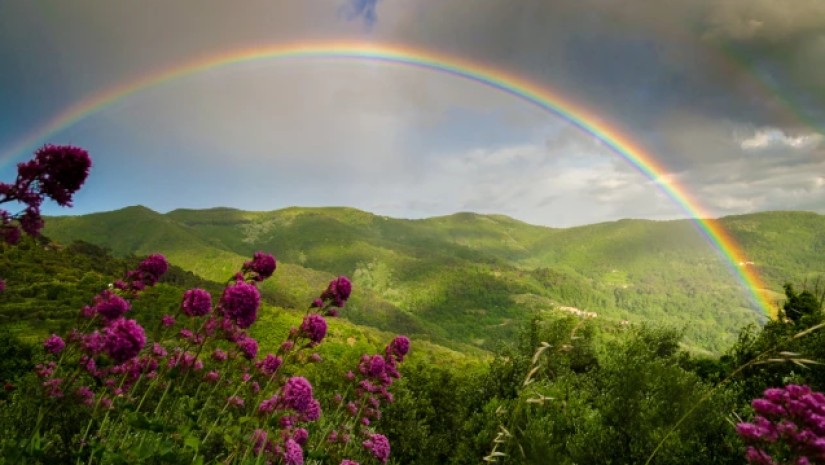 ცისარტყელები