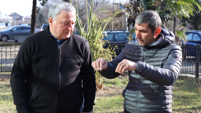 გოგორიშვილი