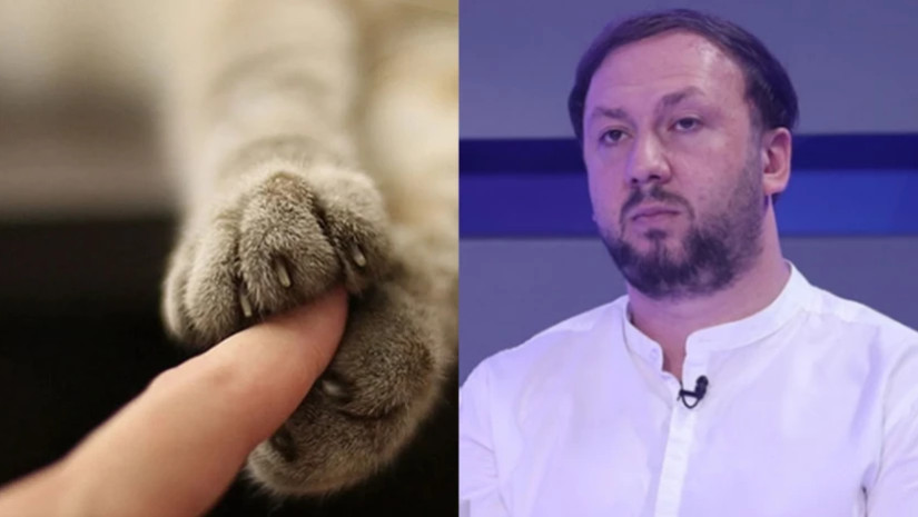 გოგინავა