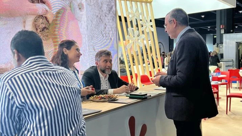 ტურიზმი