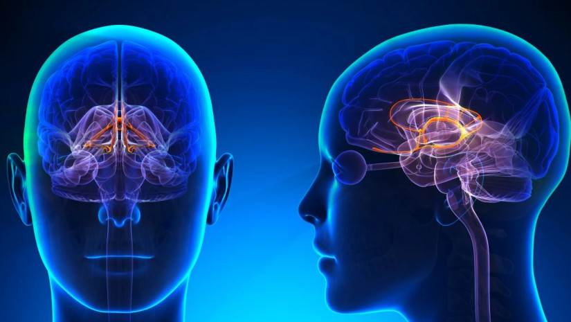 კოკაინი