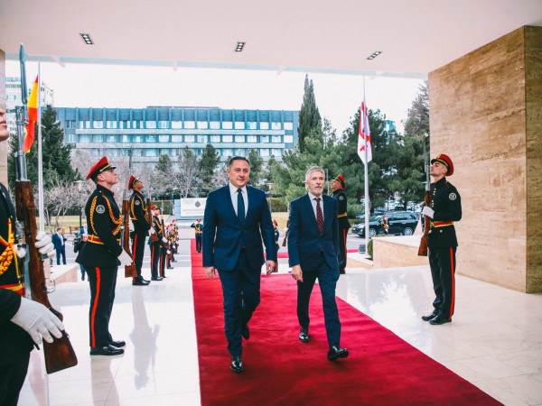 შსს-ში ვიზიტი