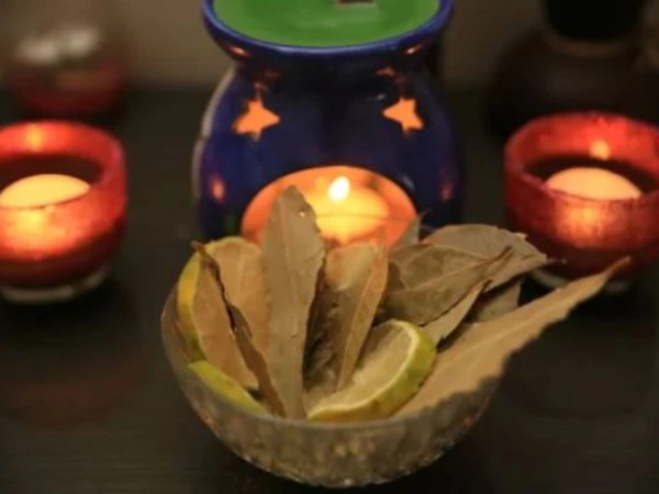 დაფნა