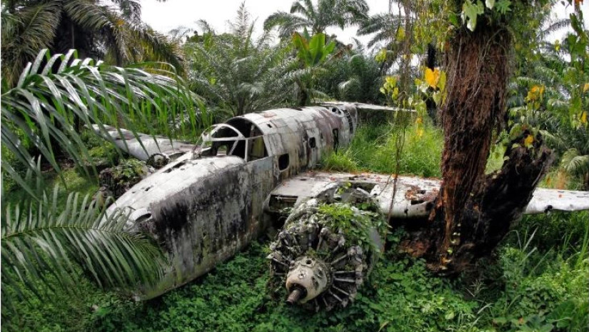 თვითმფრინავი