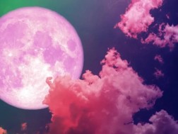 ვარდისფერი მთვარე