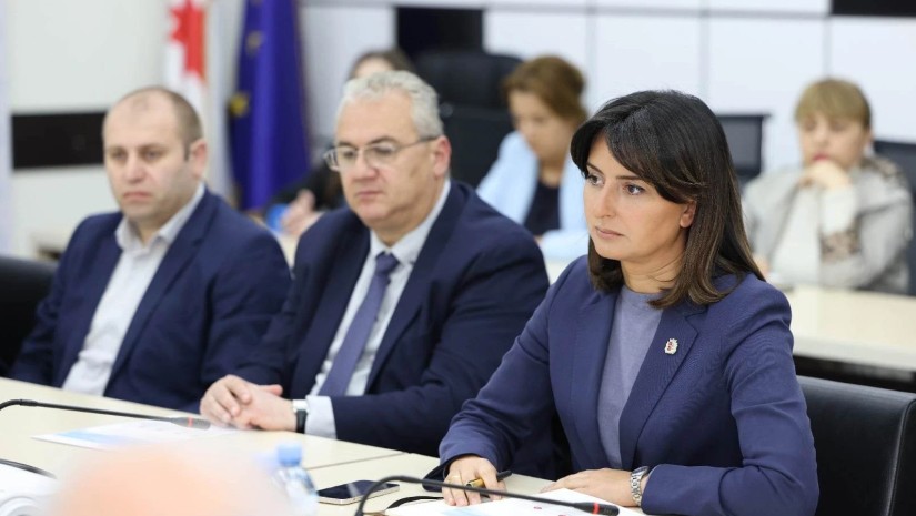 რუსთავის მერი