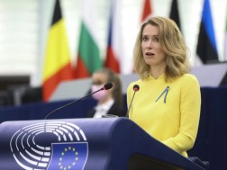 According to Kaya Kalasi, the European Union should continue to put pressure on the Georgian authorities