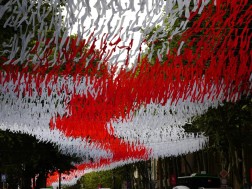 What events are scheduled for May 26 in Tbilisi