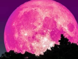 ვარდისფერი მთვარე