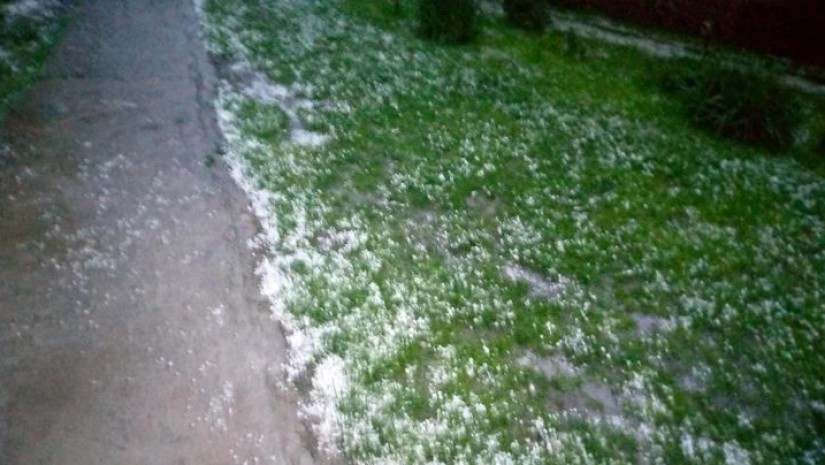 სეტყვა