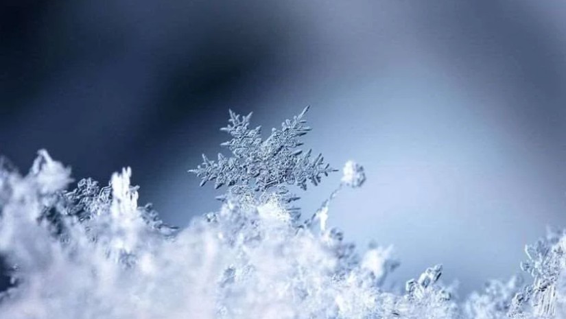 ყაზბეგი