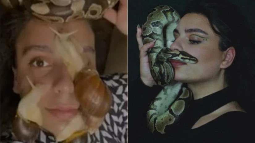 გველი გველი