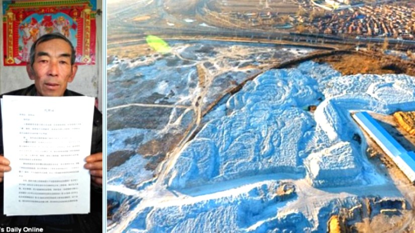 ფერმები