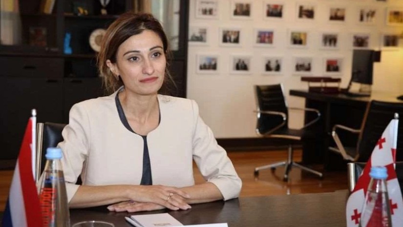 ნიდერლანდების ელჩი