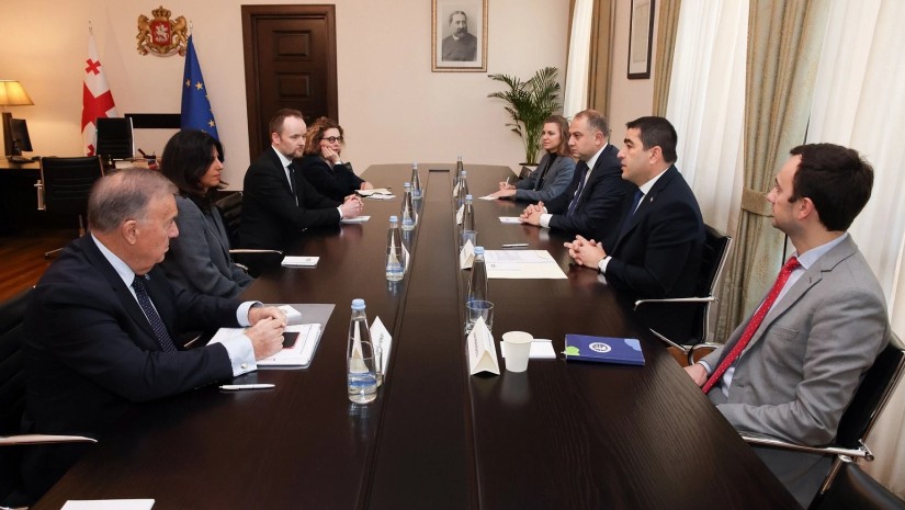 შალვა პაპუაშვილი ვენეციის კომისიის დელეგაციას შეხვდა
