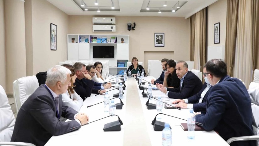 მაია ბითაძე ბიზნესის წარმომადგენლებს შეხვდა 