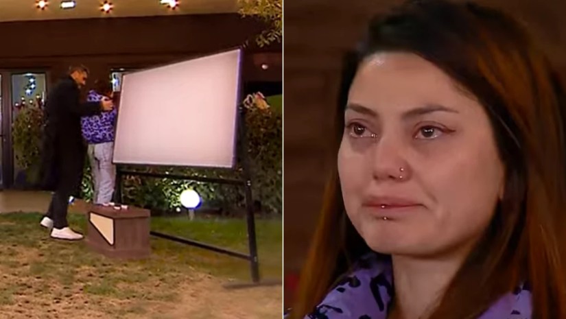 ვიკი ვიკი
