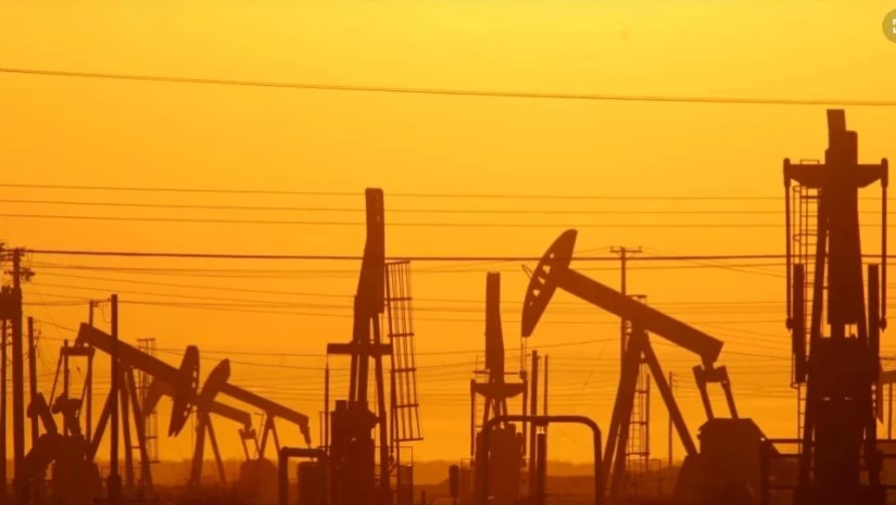 ნავთობი