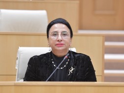 Rima Beradze on the letter of Europeans: This is interference in our internal affairs, it is pressure on democracy, it is a message to prevent local self -government elections in Georgia