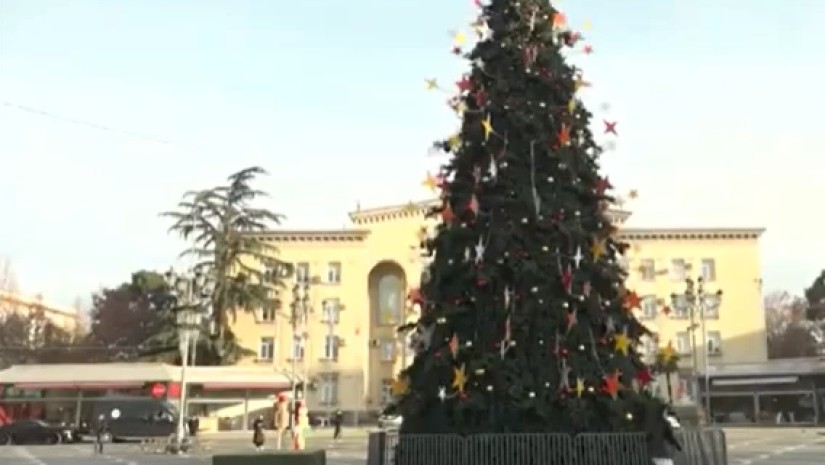 ნავის ხე ნავის ხე