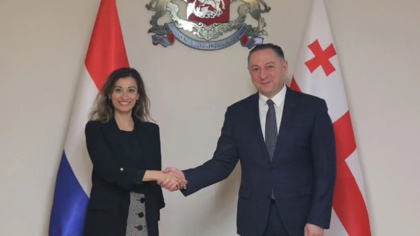 ვახტანგ გომელაური ნიდერლანდების სამეფოს ელჩს შეხვდა