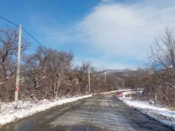 ვერონა შუამთა