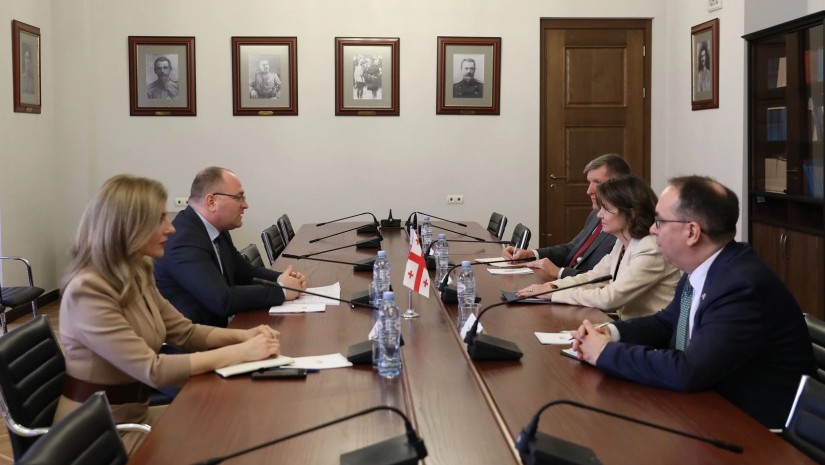 ირაკლი ბერაია ამერიკის შეერთებული შტატების ელჩს შეხვდა