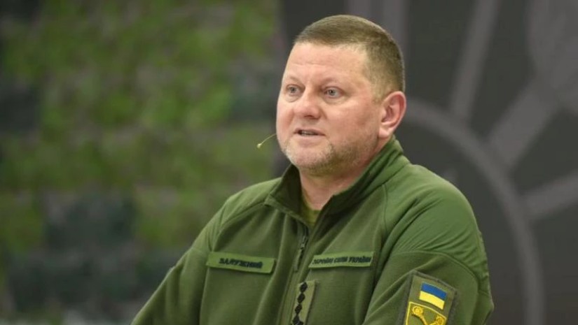 ზალუჟნი