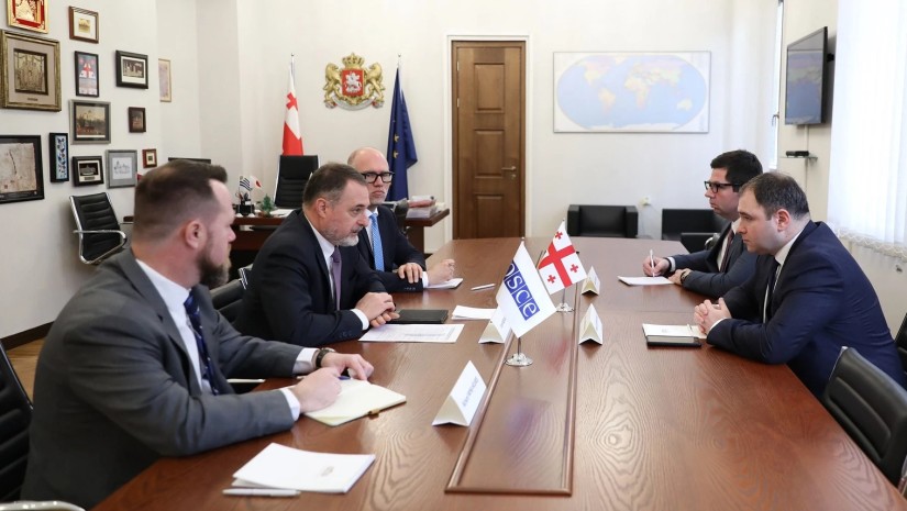 ნიკოლოზ სამხარაძემ სამხრეთ კავკასიაში ეუთო-ს სპეციალურ წარმომადგენელთან ოკუპირებულ რეგიონებში არსებული ვითარება განიხილა 