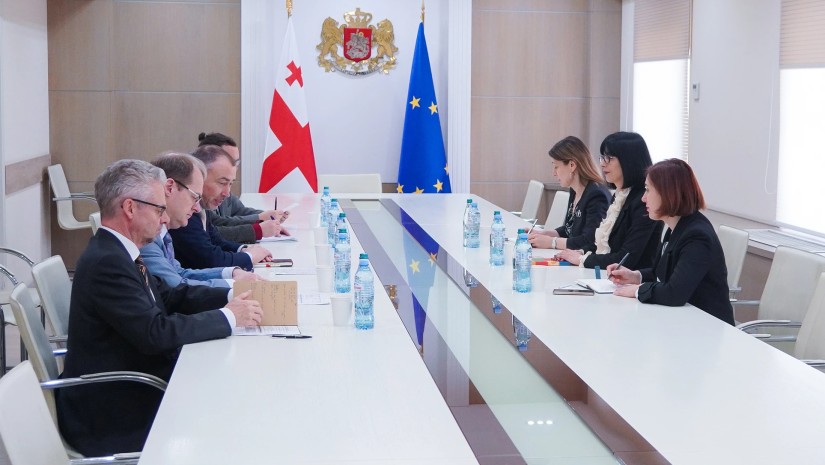 შერიგებისა და სამოქალაქო თანასწორობის საკითხებში საქართველოს სახელმწიფო მინისტრმა თეა ახვლედიანმა სამხრეთ კავკასიასა და საქართველოში კრიზისის საკითხებში ევროკავშირის სპეციალურ წარმომადგენელთან ტოივო კლაართან შეხვედრა გამართა