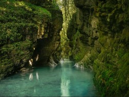 In the 5 months of 2025, the number of visitors to the Protected Areas of Georgia increased by 20%compared to the same period last year