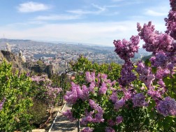 საქართველოს ეროვნული ბოტანიკური ბაღისათვის ოფიციალური სტატუსის მინიჭებიდან 179 წელი გავიდა