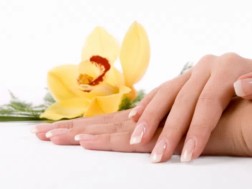 ფრჩხილები