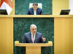 მიხეილ სარჯველაძე