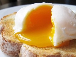 Eggs and Salmonella - How to protect yourself from infection