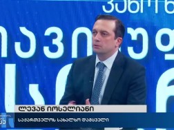 ლევან იოსელიანი: ახლანდელ მოვლენებთან დაკავშირებით ჩვენ ყველაფერს გავაკეთებთ იმისთვის, რომ მივიღოთ წვდომა საგამოძიებო მასალებზე და თუ ასეთი დაშვება გვექნება, მაშინ ჩვენ შევძლებთ შევაფასოთ რამდენად სწორად მიმდინარეობს ეს პროცესი